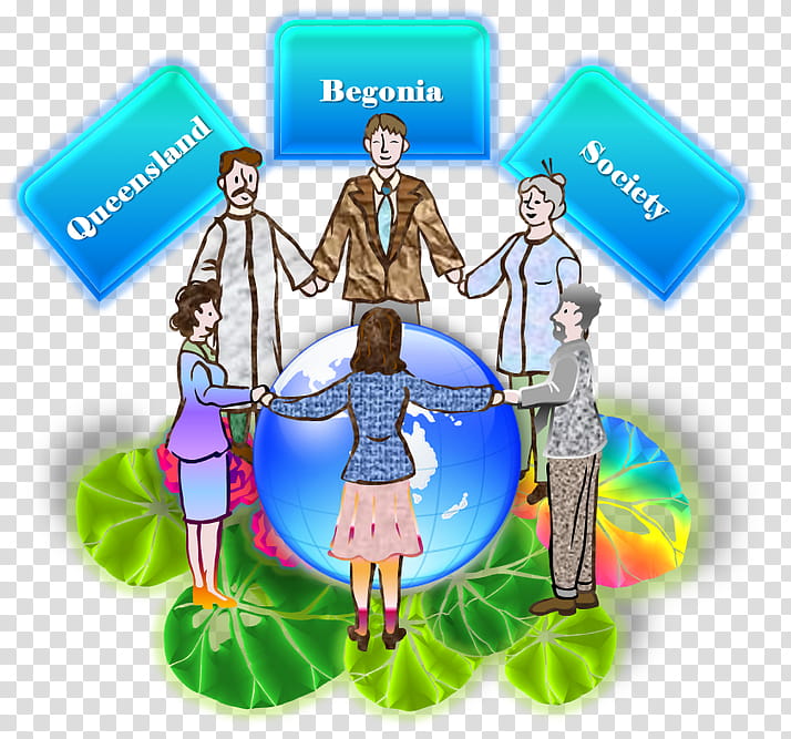 Background Meeting, Queensland, Society, Community, Begonia, Human, Behavior, January transparent background PNG clipart