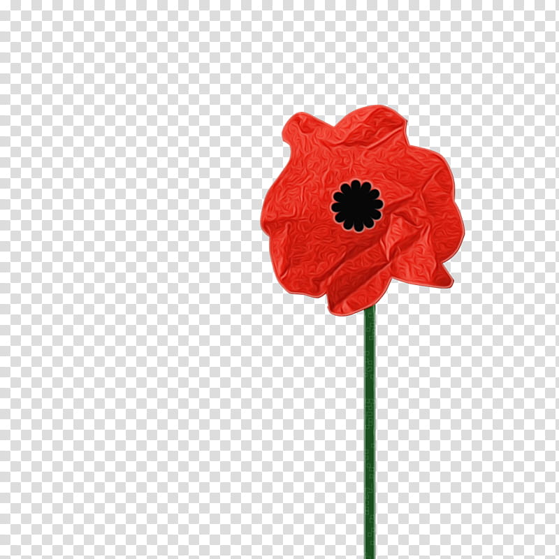 red flower poppy coquelicot petal, Watercolor, Paint, Wet Ink, Plant, Poppy Family, Corn Poppy, Cut Flowers transparent background PNG clipart