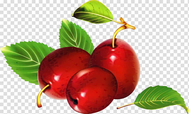Cherry Blossom Tree, Plum, Sugar Plum, Fruit, Plum Blossom, Food, Berries, Cherries transparent background PNG clipart