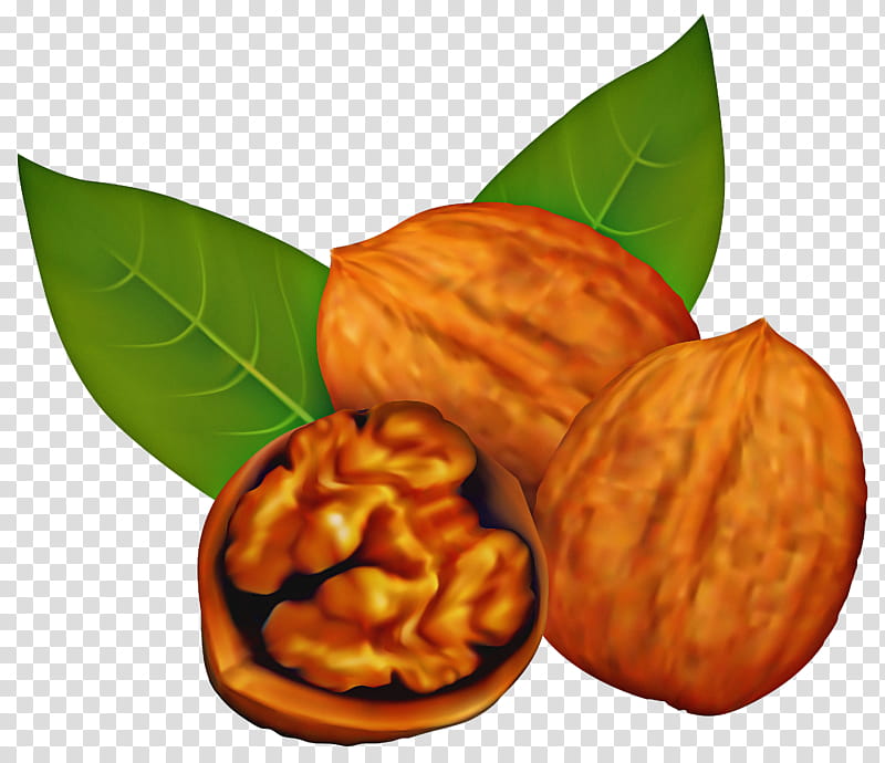 nut food walnut almond nuts & seeds, Nuts Seeds, Plant, Leaf, Tree, Ingredient transparent background PNG clipart