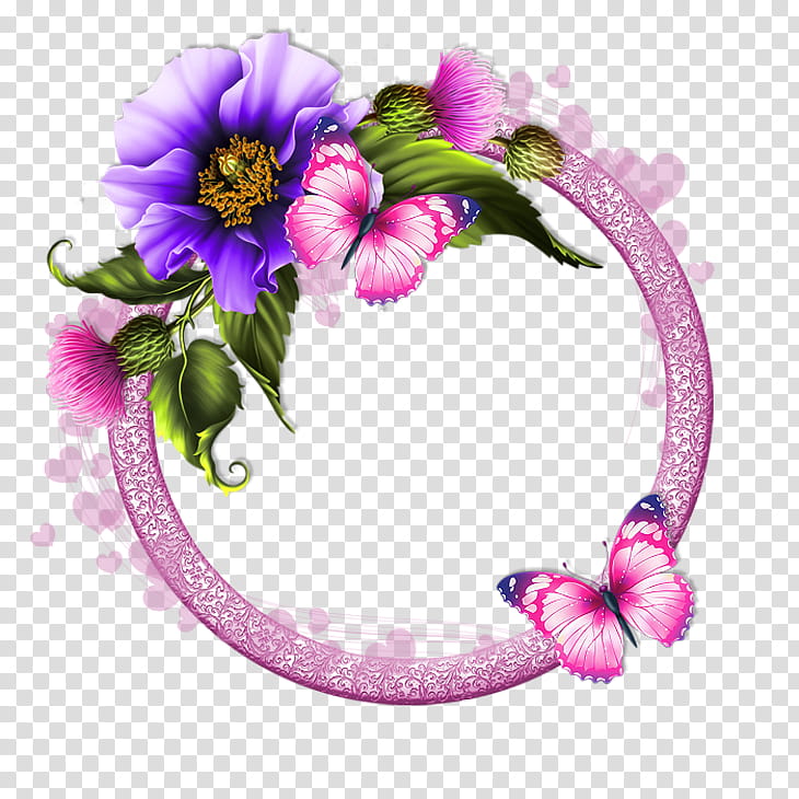 frame, Violet, Pink, Flower, Purple, Petal, Plant, Morning Glory transparent background PNG clipart