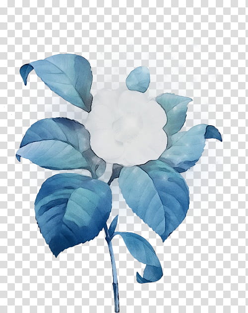 blue turquoise leaf aqua petal, Watercolor, Paint, Wet Ink, Flower, Plant, Magnolia, Magnolia Family transparent background PNG clipart
