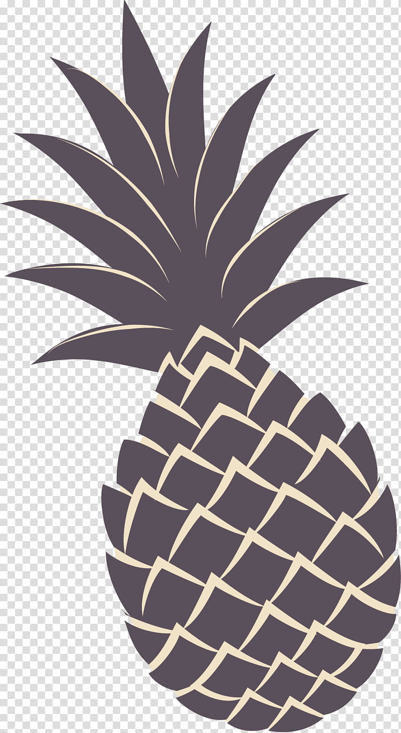 Palm Tree, Pineapple Bun, Fruit, Ananas, Leaf, Plant, Blackandwhite, Attalea Speciosa transparent background PNG clipart