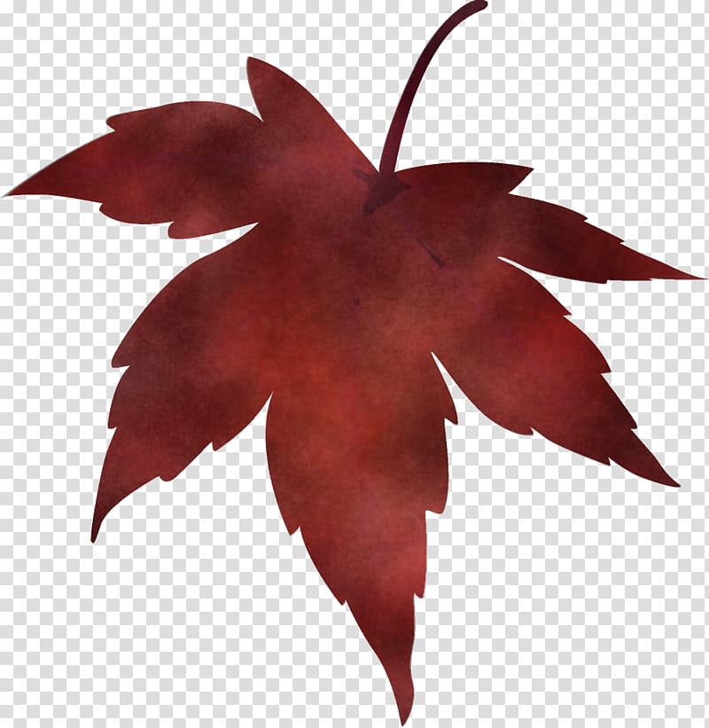 maple leaf fallen leaf dead leaf, Autumn Leaf, Tree, Red, Plant, Sweet Gum, Woody Plant, Black Maple transparent background PNG clipart