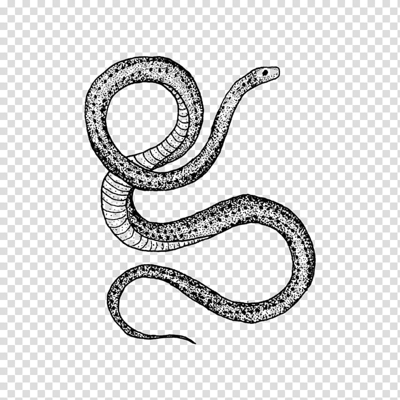 Snake, Snakes, Drawing, Tattoo, Ouroboros, Art, Cobra, Body Piercing transparent background PNG clipart