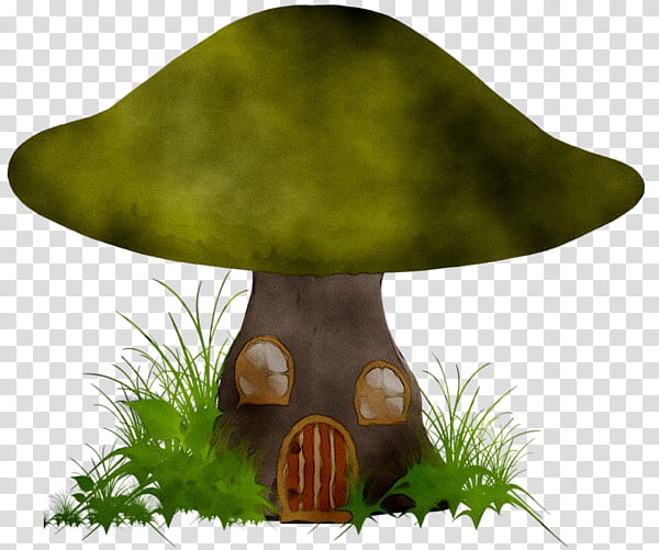 Mushroom, Bolete, Grass, Tree, Plant, Moss, Table, Fungus transparent background PNG clipart