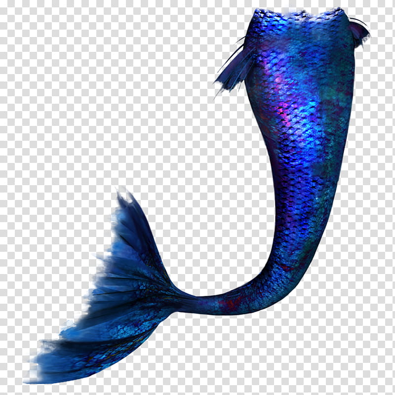 Mermaids Tail Mis Pedidos shop, blue mermaid tail transparent background PNG clipart