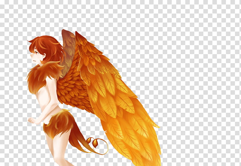 Phoenix transparent background PNG clipart