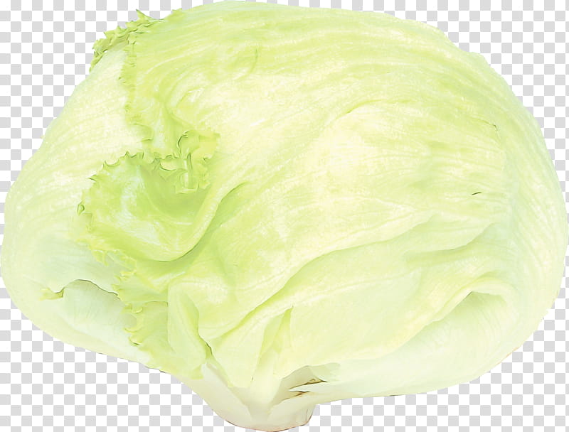 Green Leaf, Lettuce, Cabbage, Iceburg Lettuce, Wild Cabbage, Food, Leaf Vegetable, Plant transparent background PNG clipart