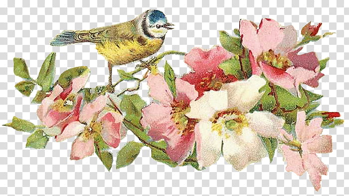 To My Dear Friends s, yellow bird perching on pink flower transparent background PNG clipart