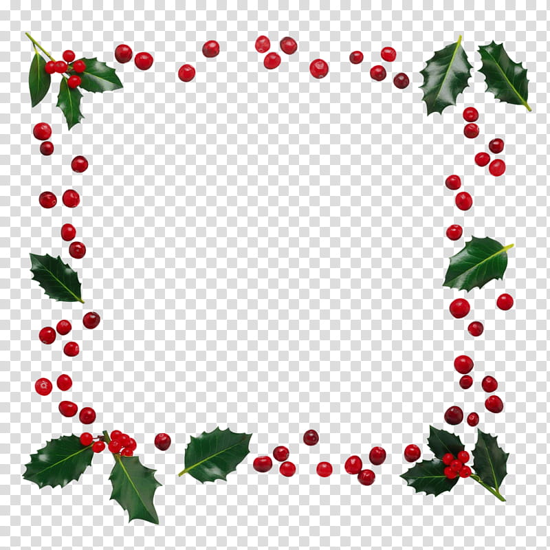 Holly, Plant, Leaf, Fruit, Berry, Flower, Ornament transparent background PNG clipart