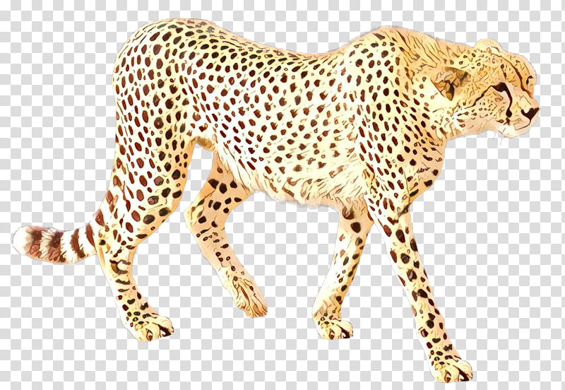 Cheetah Leopard Jaguar Cat Tiger, Cartoon, Lion, Animal, Leopard Cat, Animal Print, Animal Figure, Wildlife transparent background PNG clipart