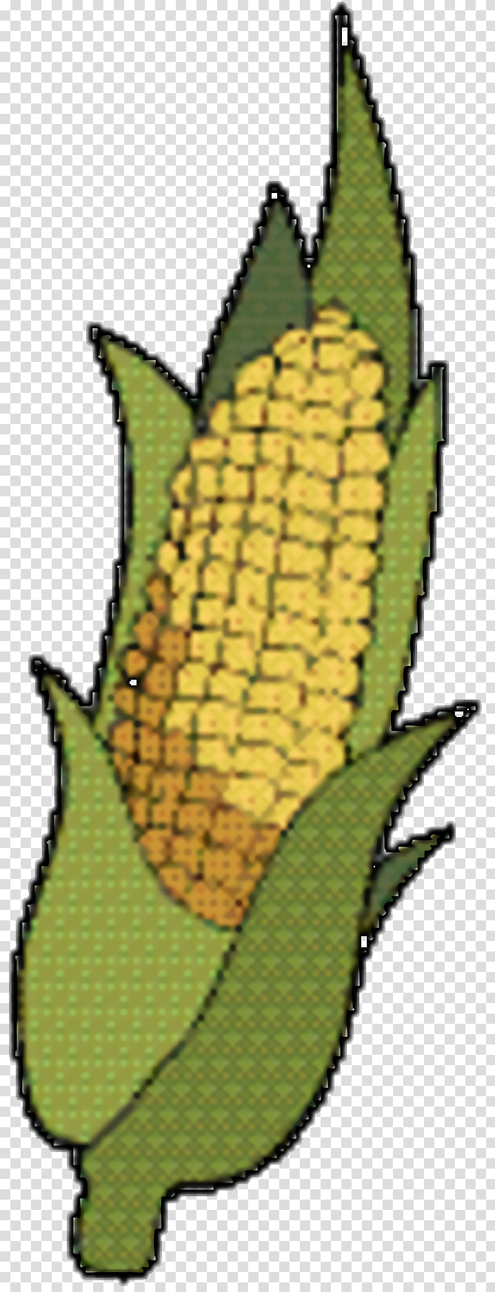 Corn, Commodity, Cartoon, Tree, Leaf, Fruit, Plants transparent background PNG clipart