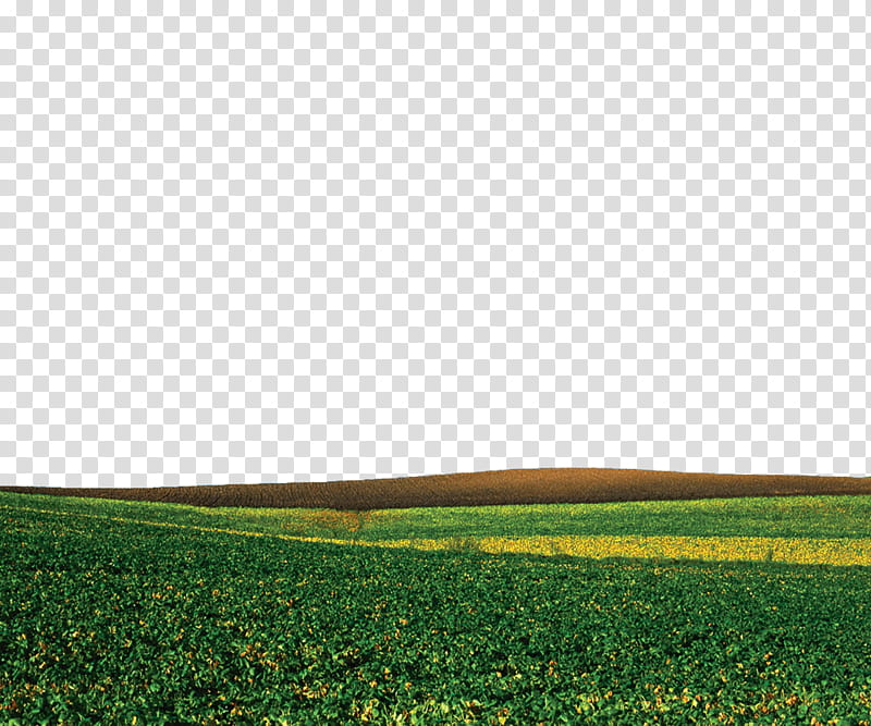 Nature ground, green field under white sky transparent background PNG clipart
