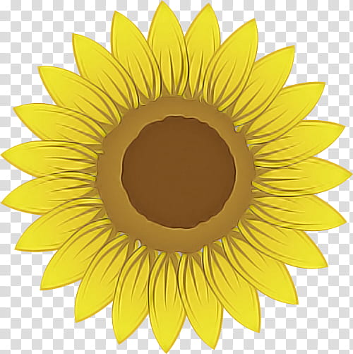 Sunflower, Yellow, Eye, Plant, Iris, Circle, Petal transparent background PNG clipart