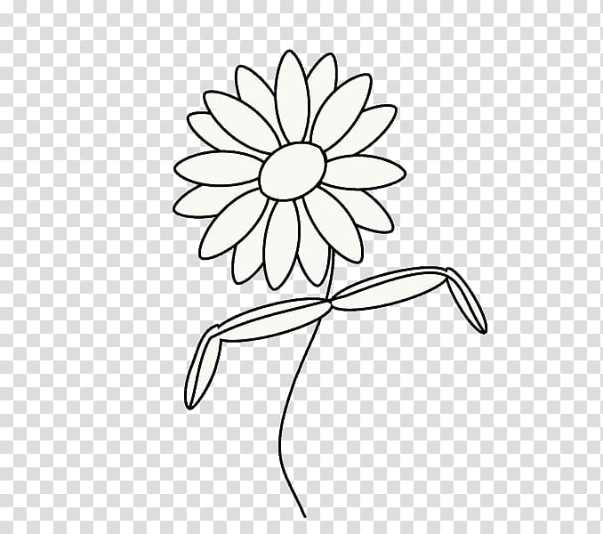 Black And White Flower, Drawing, Line Art, Painting, Cartoon, Sidewalk Chalk, Common Daisy, Black And White transparent background PNG clipart