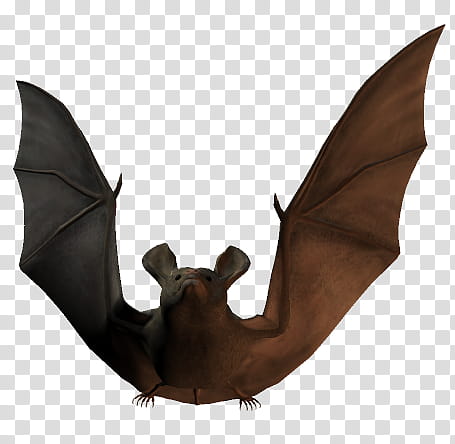 The Bats, black bat transparent background PNG clipart