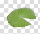 # Lotus transparent background PNG clipart # Lotus transparent background PNG clipart