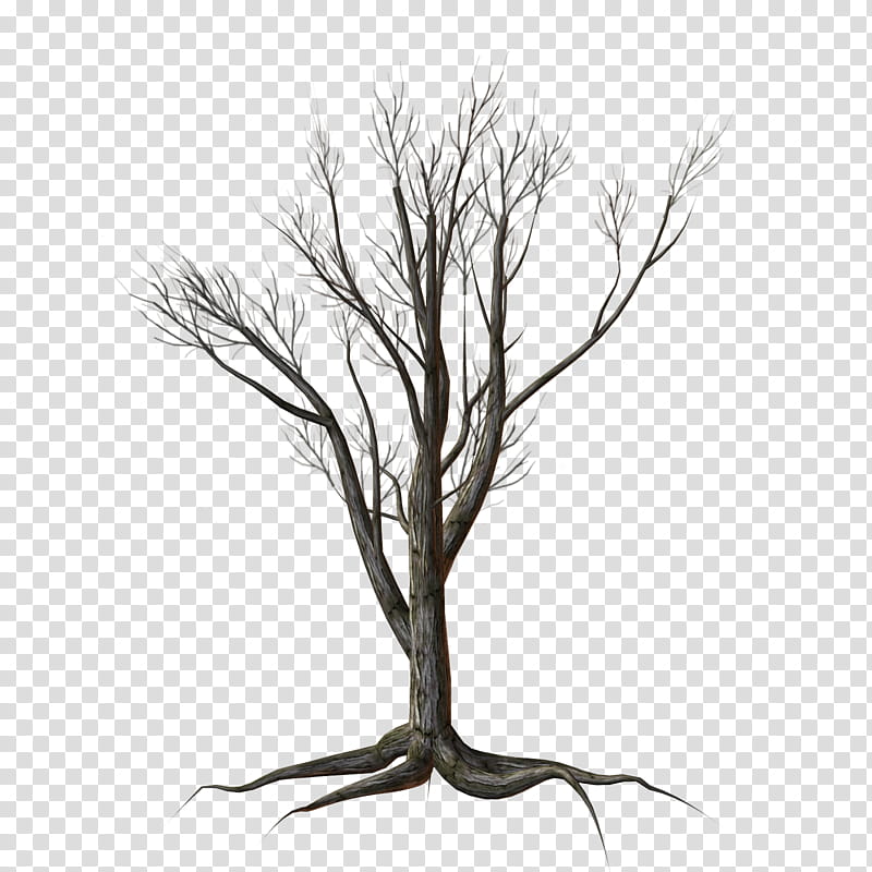 dead , withered tree art transparent background PNG clipart