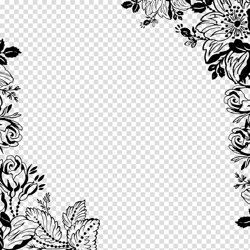Border Overlays, black and white floral frame transparent background PNG clipart