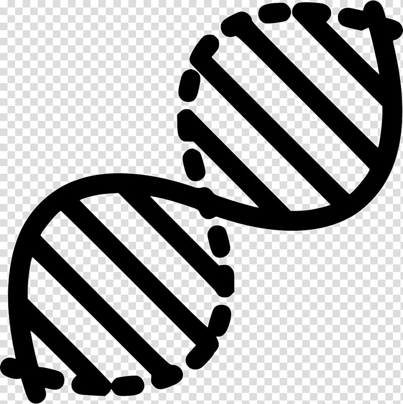 Double Helix, Dna, Genetics, Nucleic Acid Structure, DNA Science, Biology, Recombinant Dna, DNA Extraction transparent background PNG clipart
