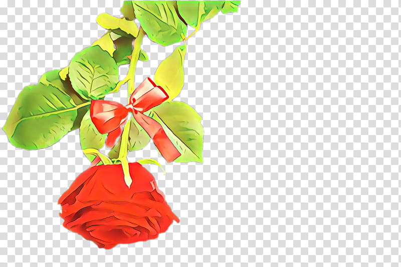 red flower leaf plant cut flowers, Petal, Anthurium, Plant Stem, Impatiens transparent background PNG clipart