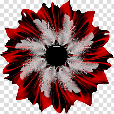 Flower, red, black, and grey petaled flower illustration transparent background PNG clipart