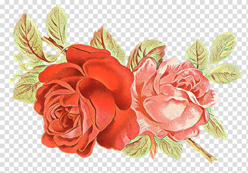 Pink Flower, Cartoon, Garden Roses, Cabbage Rose, Floral Design, Cut Flowers, Artificial Flower, Flower Bouquet transparent background PNG clipart