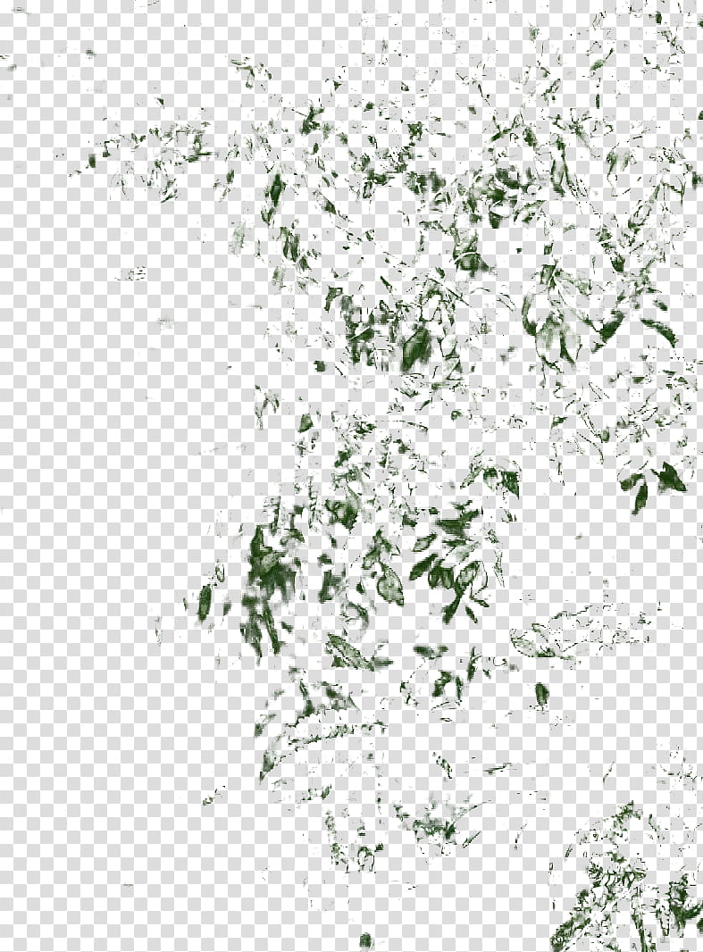 Bamboo, green leaves transparent background PNG clipart