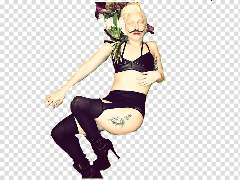 Lady gaga Via Istagram transparent background PNG clipart