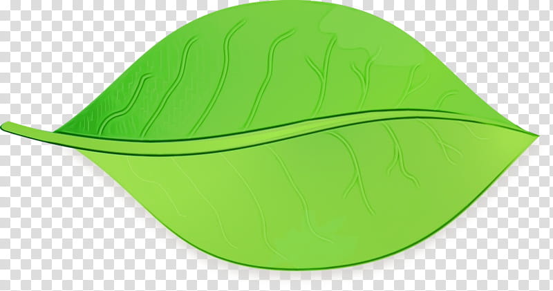 Green Leaf Watercolor, Paint, Wet Ink, Hat, Cap, Headgear, Cricket Cap transparent background PNG clipart