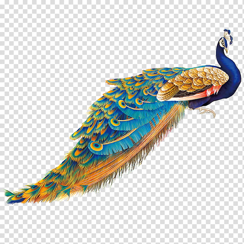 Cartoon Bird, Peafowl, Feather, Indian Peafowl, Beak, Wing, Tail transparent background PNG clipart