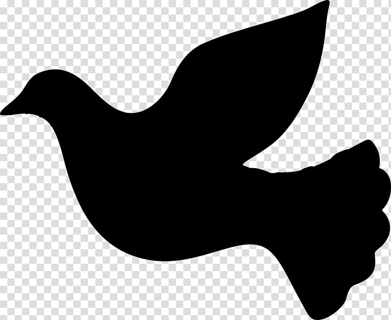 Bird Logo, Silhouette, Drawing, Pigeons And Doves, Holy Spirit, Beak, Blackandwhite transparent background PNG clipart