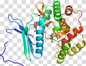 Human, Line, Behavior transparent background PNG clipart thumbnail