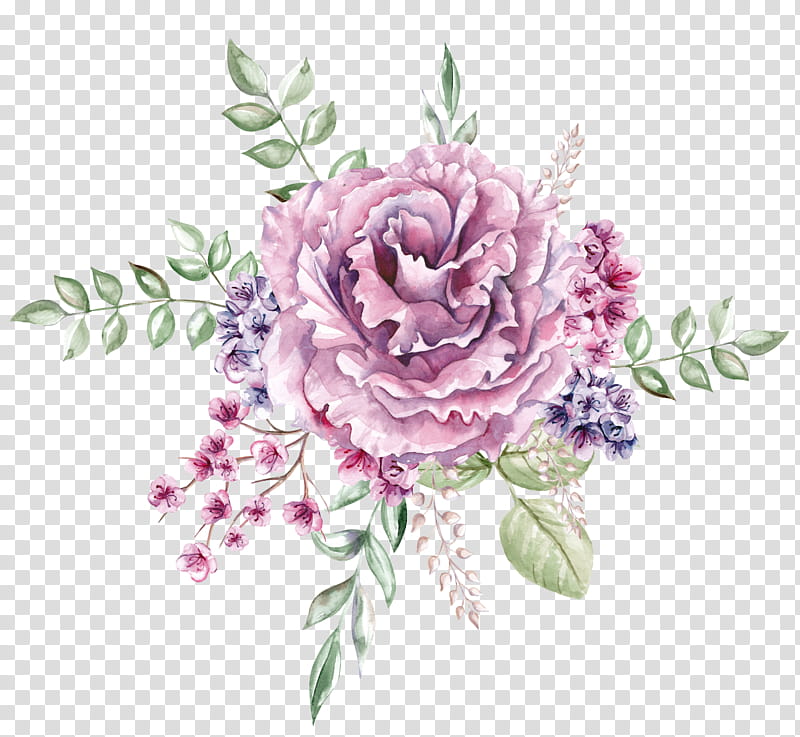 Rose, Flower, Pink, Lilac, Plant, Violet, Rose Family, Cut Flowers transparent background PNG clipart