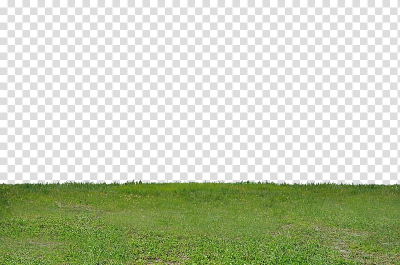 DSC  Grass Sky copy  FF transparent background PNG clipart