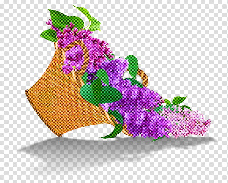 violet purple lilac flower leaf, Plant, Cut Flowers, Bougainvillea, Dendrobium, Flowerpot, Magenta, Moth Orchid transparent background PNG clipart