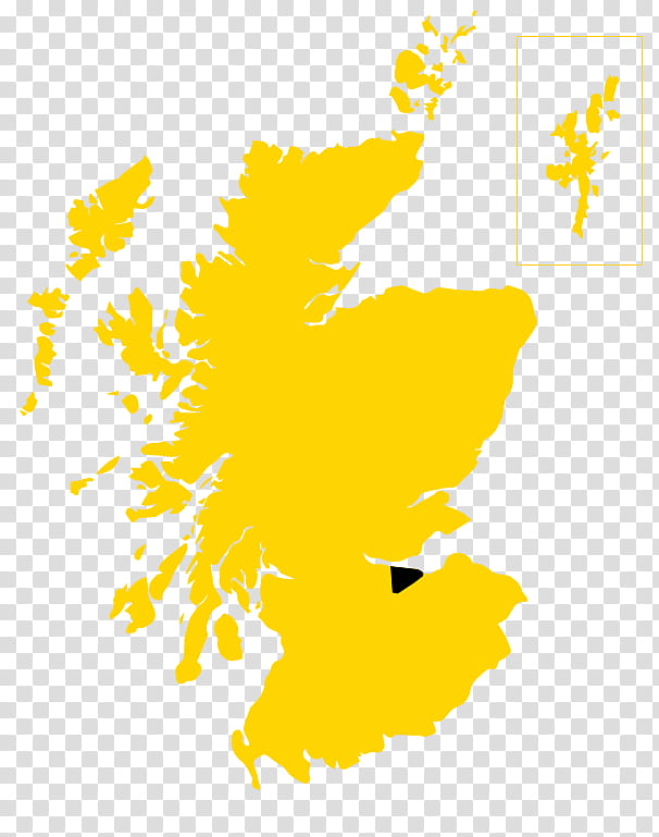 Bird, Scotland, Map, Yellow, Leaf, Beak, Tree, Line transparent background PNG clipart