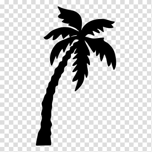 Coconut Leaf Drawing, Palm Trees, Silhouette, Black, Blackandwhite, Plant, Woody Plant, Arecales transparent background PNG clipart