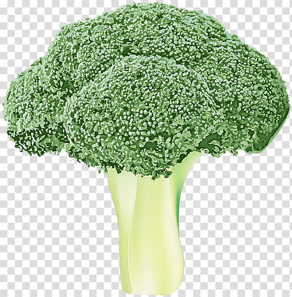 broccoli leaf vegetable green vegetable wild cabbage, Plant, Grass, Flower transparent background PNG clipart