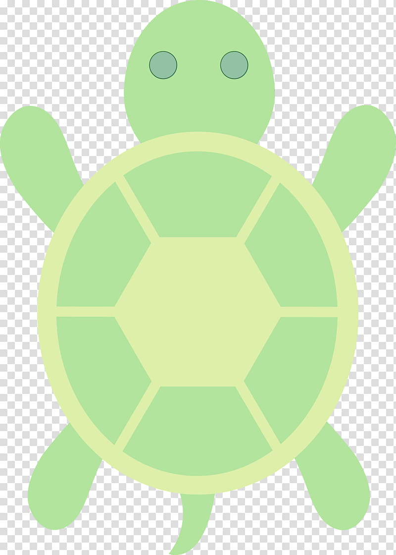 Sea Turtle, Tortoise, Tortoise M, Green, Green Sea Turtle transparent background PNG clipart