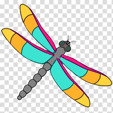 hermosos, drawing of a dragonfly transparent background PNG clipart