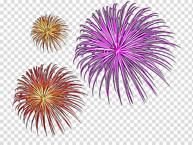New year's eve, Fireworks, Pink, Line, Event, Festival, Holiday, Recreation transparent background PNG clipart