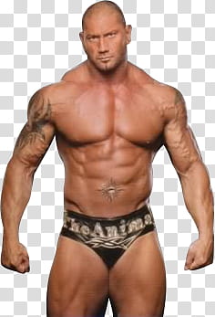 Batista and Randy Orton Alma Editions transparent background PNG clipart
