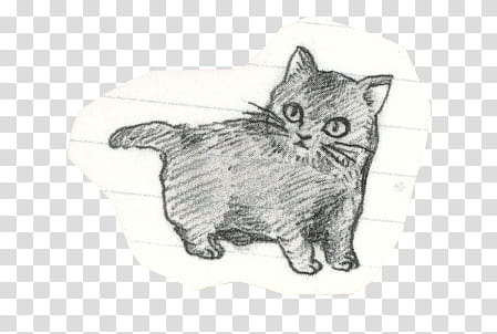 Shoujo, kitten sketch transparent background PNG clipart