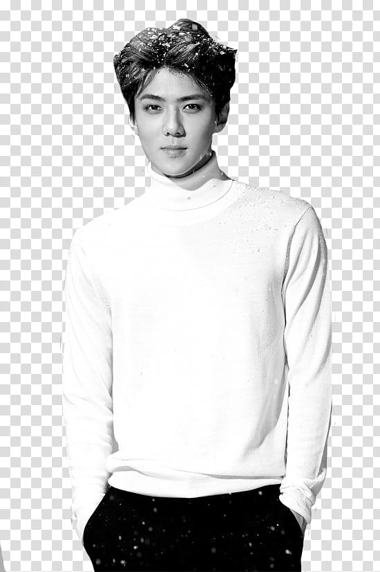 EXO Comeback Teaser Sing For You transparent background PNG clipart