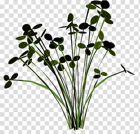 Various Flowers , green-leafed plant transparent background PNG clipart