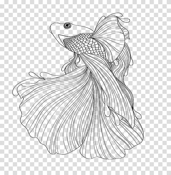 Kitten, Siamese Fighting Fish, Siamese Cat, Drawing, Koi, Coloring Book, Aquarium, Doodle transparent background PNG clipart