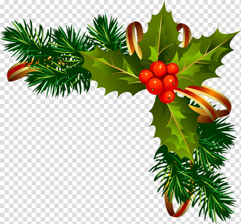 Christmas ornaments Christmas decoration Christmas, Christmas , Plant, Holly, Western Yew, Tree, Leaf, Branch transparent background PNG clipart