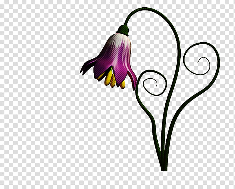 flower violet plant purple petal, Fritillaria, Pedicel, Lily Family, Iris, Wildflower, Amaryllis Family transparent background PNG clipart